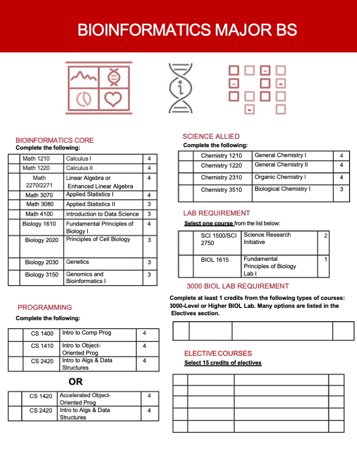 Bioinformatics Degree Requirements